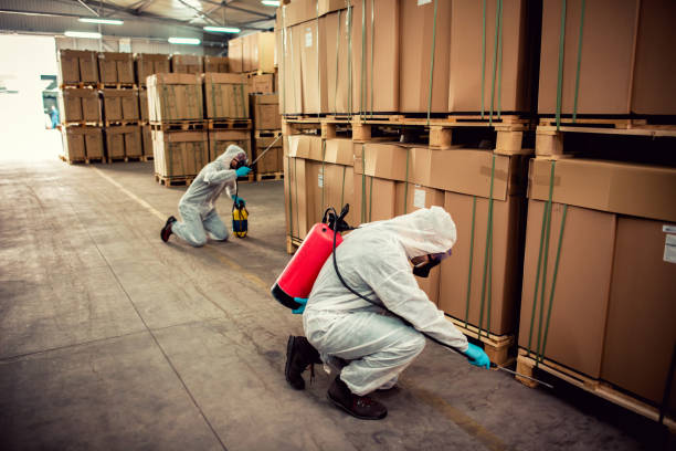 Wasp Removal Services in Gerald, MO