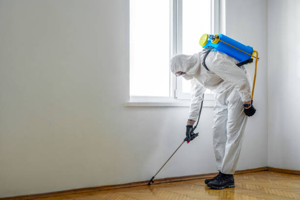 Best Residential Pest Control  in Gerald, MO