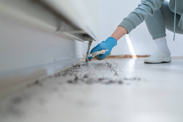 Pest Control for Restaurants in Gerald, MO